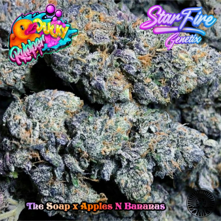 Rubber Ducky Starfire fem 11pk