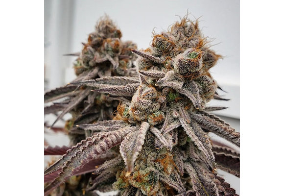 Ethos big Detroit energy R1