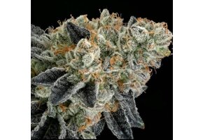 Ethos end game Rbx EC#4 line