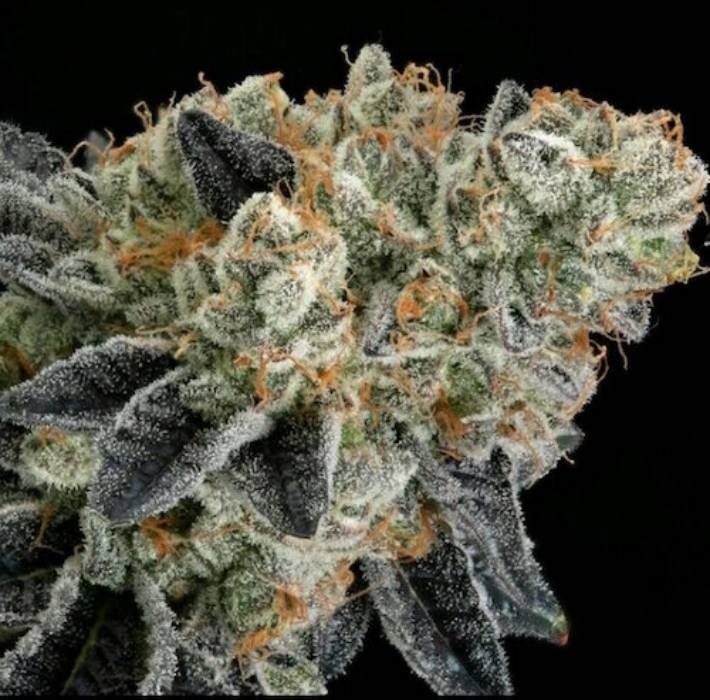 Ethos end game Rbx EC#4 line