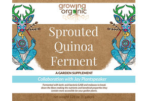 Sprouted Quinoa Ferment