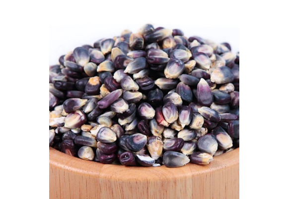 Organic Blue Corn
