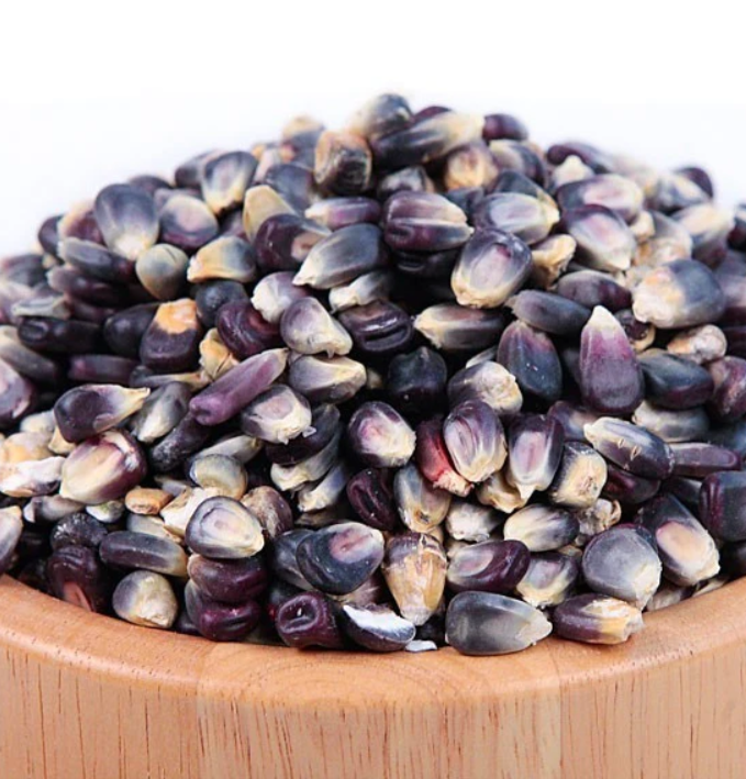 Organic Blue Corn