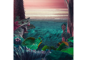 Tropical Thunder Auto Multipack