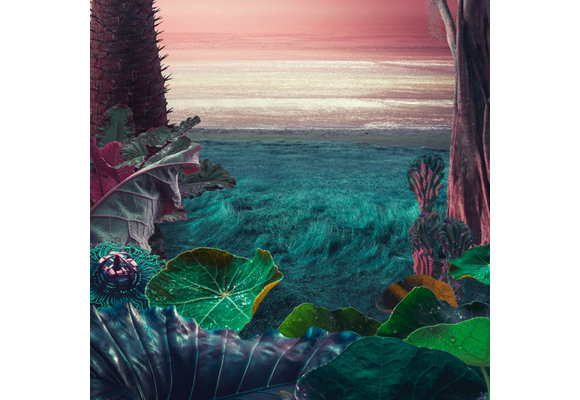 Tropical Thunder Auto Multipack