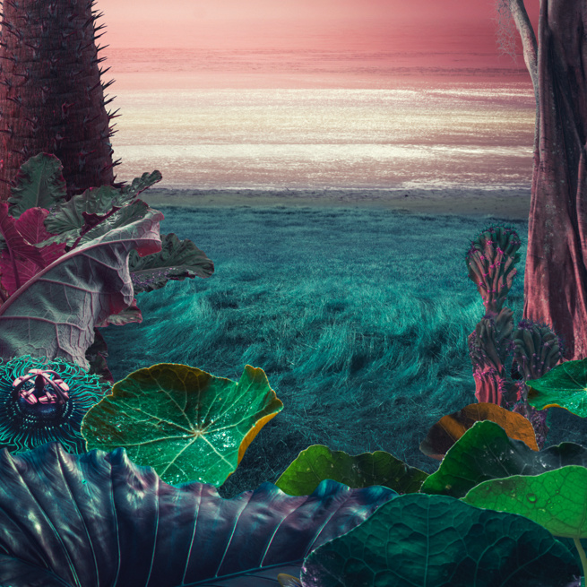 Tropical Thunder Auto Multipack