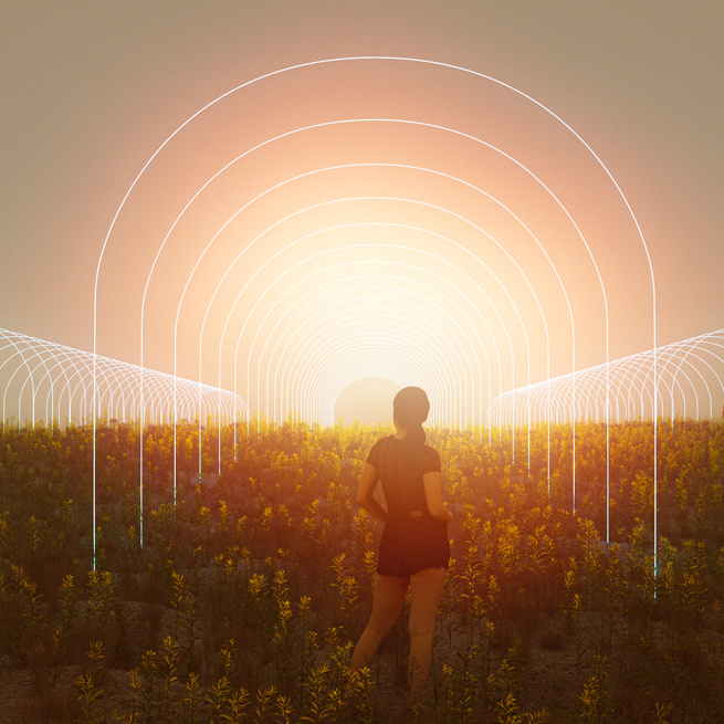 Early Girls Multipack