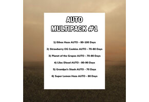 Ethos Auto Multipack #1 6pk