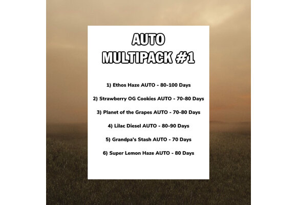 Ethos Auto Multipack #1 6pk