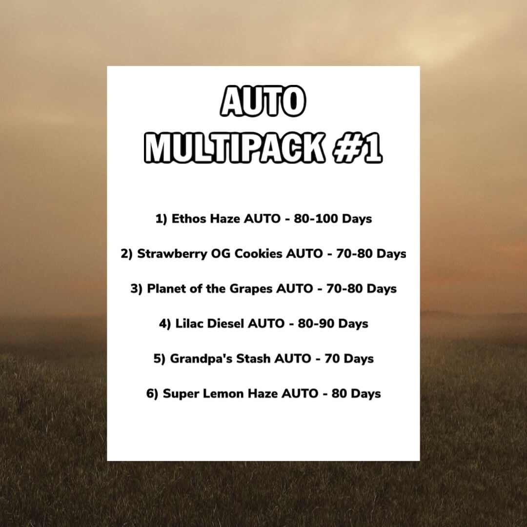 Ethos Auto Multipack #1 6pk