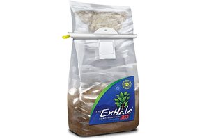 Exhale 365 non activated