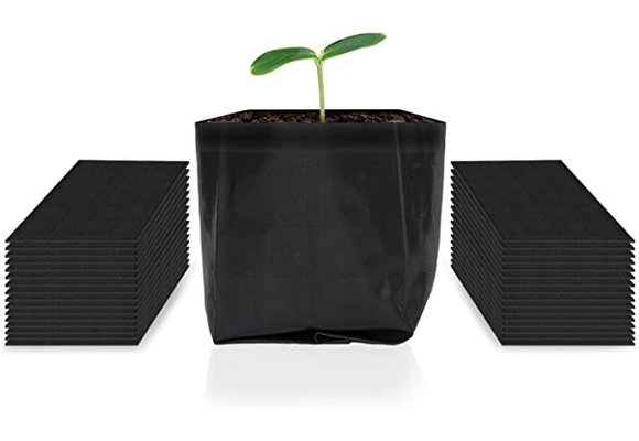 Nursery 1 gal acinfinity