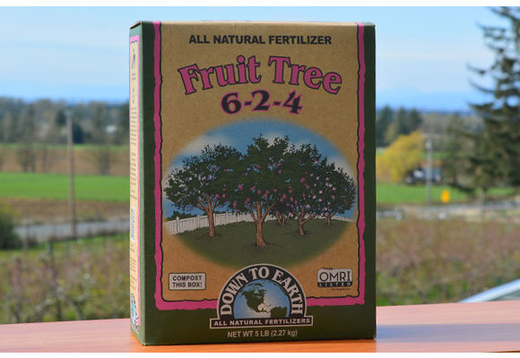 DTE fruit tree 5lbs