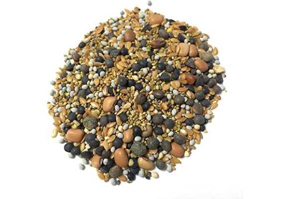 BAS 12 seed cover crop 1/2 lb