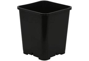 7x7 Black Square Pot