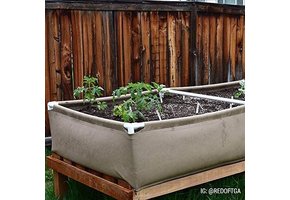 Grassroots living soil bed 3’x3’ std