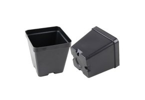 Rising phoenix plastics 3.5 square pot