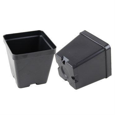 Rising phoenix plastics 3.5 square pot