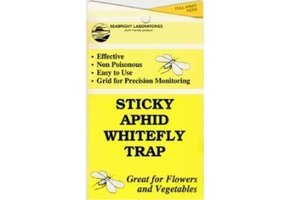 Aphid Whitefly Sticky Trap