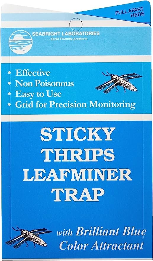 Thrips and Leafminer Sticky Traps