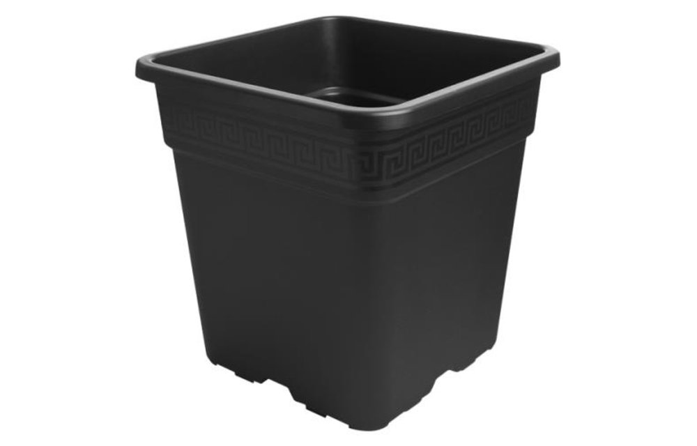 1 gal Gro pro Square pot with design at top
