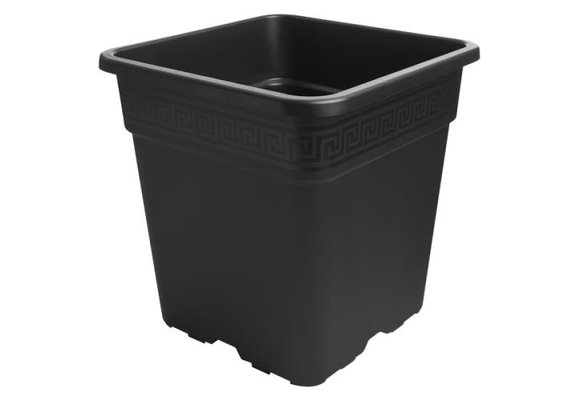 Gro pro 1 gallon square pot