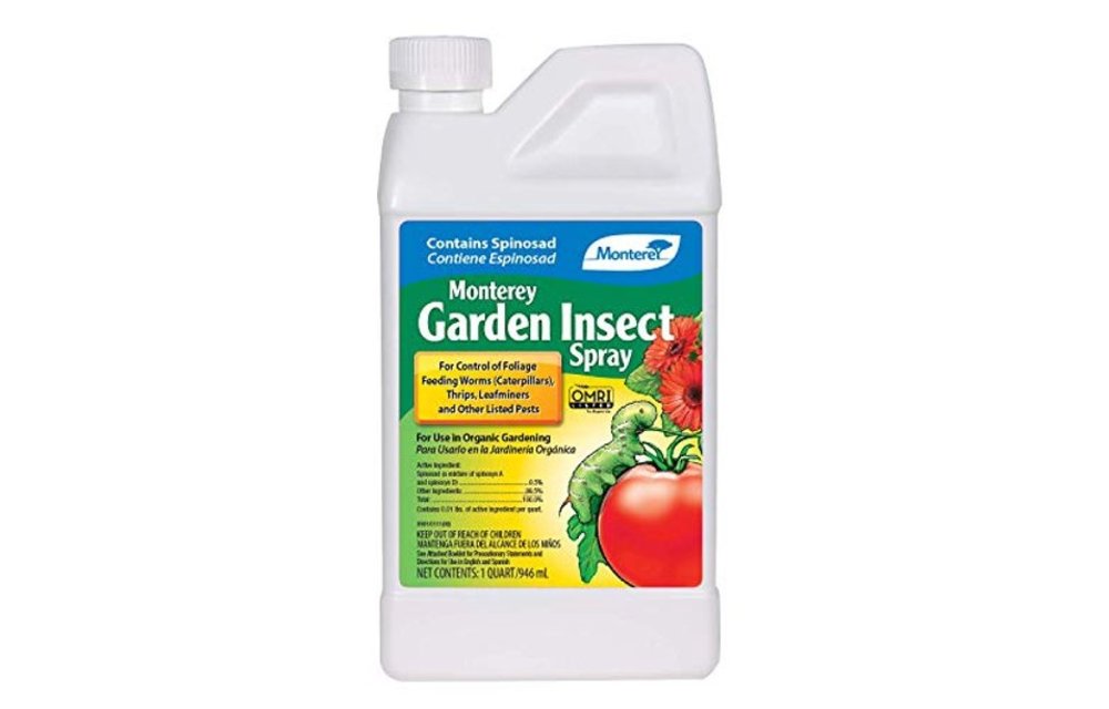Monterey garden insect spray qt