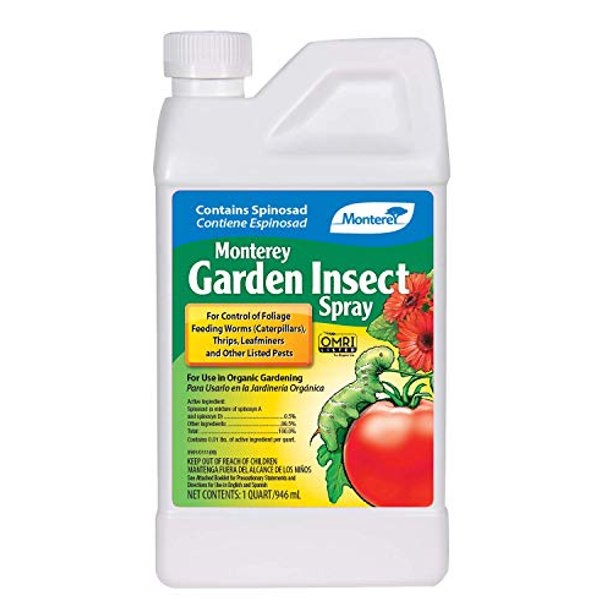Monterey garden insect spray qt