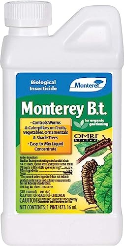 Monterey B.T. 1 pint