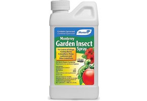 Monterey insect spray 1 pint