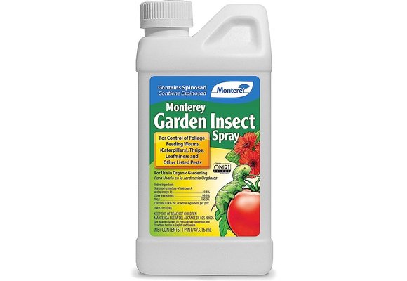 Monterey insect spray 1 pint
