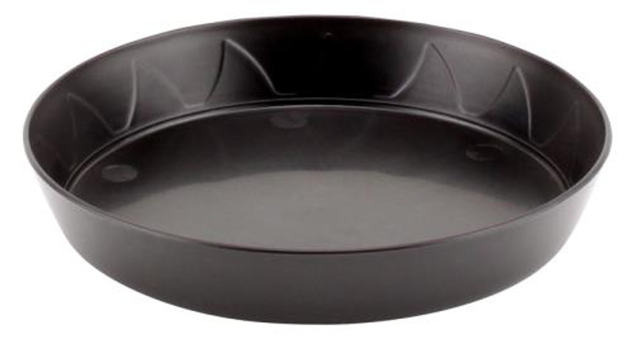 Gropro 6” saucer