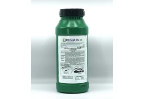 Regalia biofungicide