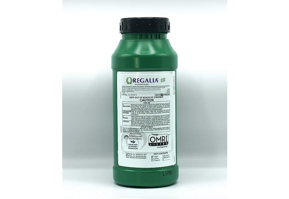 Regalia biofungicide