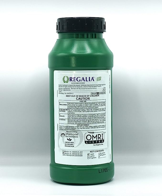 Regalia biofungicide