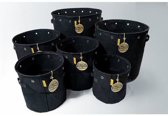 Bud pots 2 gal