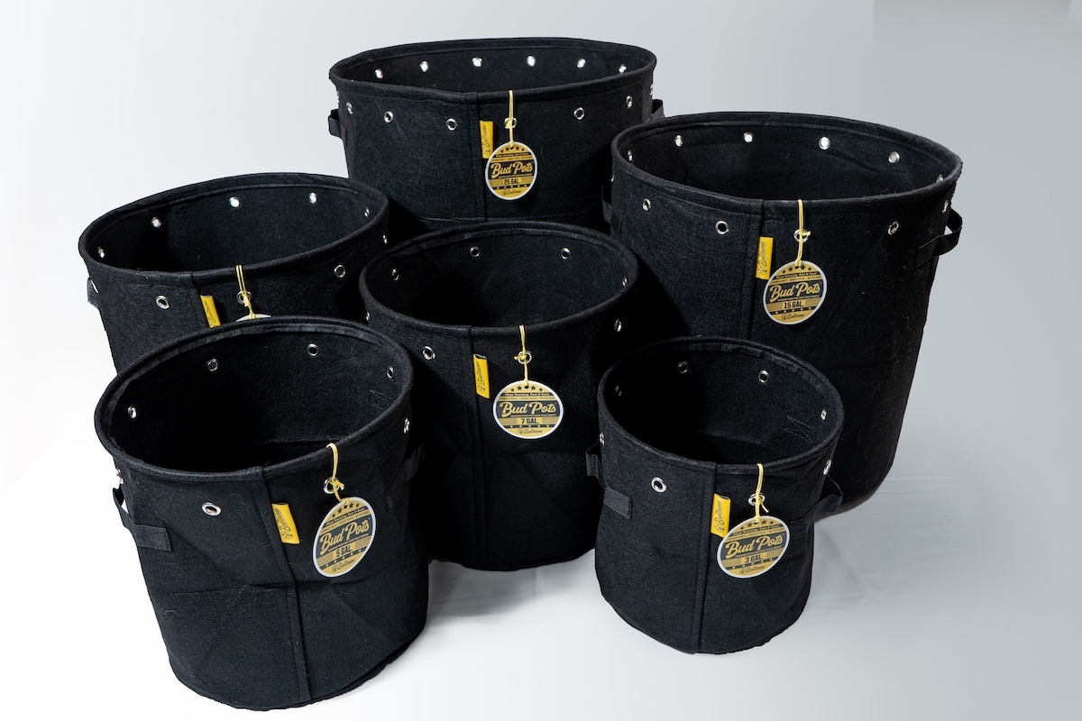 Bud pots 2 gal