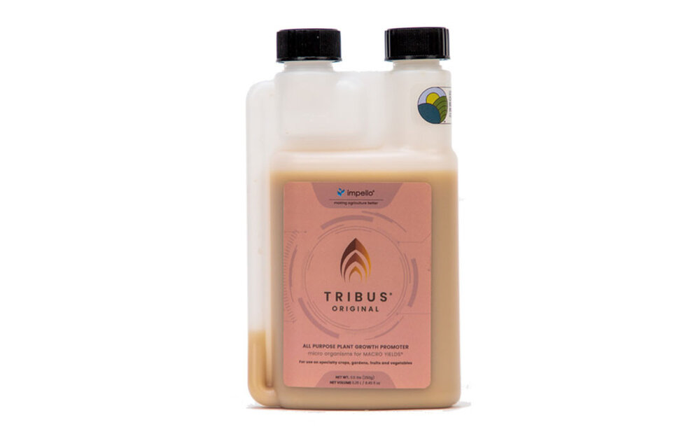 Tribus Original 250 ml