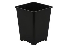 Square 6x6 plastic pot Black