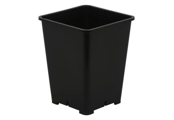 Square 6x6 plastic pot Black