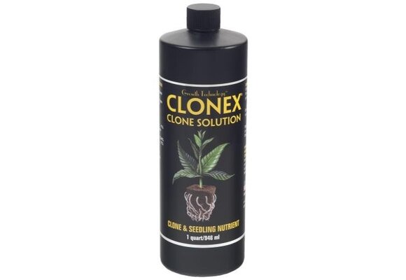 Clonex Solution Quart