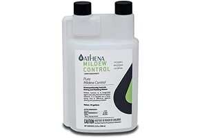 Athena mildew control 32 oz