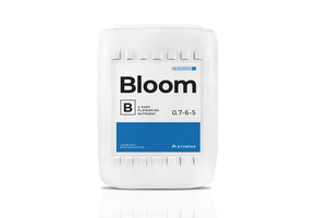 Athena bloom b 5 gallon