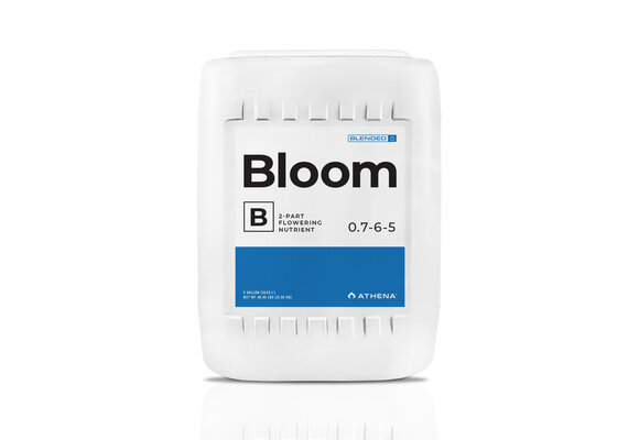 Athena bloom b 5 gallon