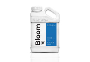 Athena bloom b 1 gallon