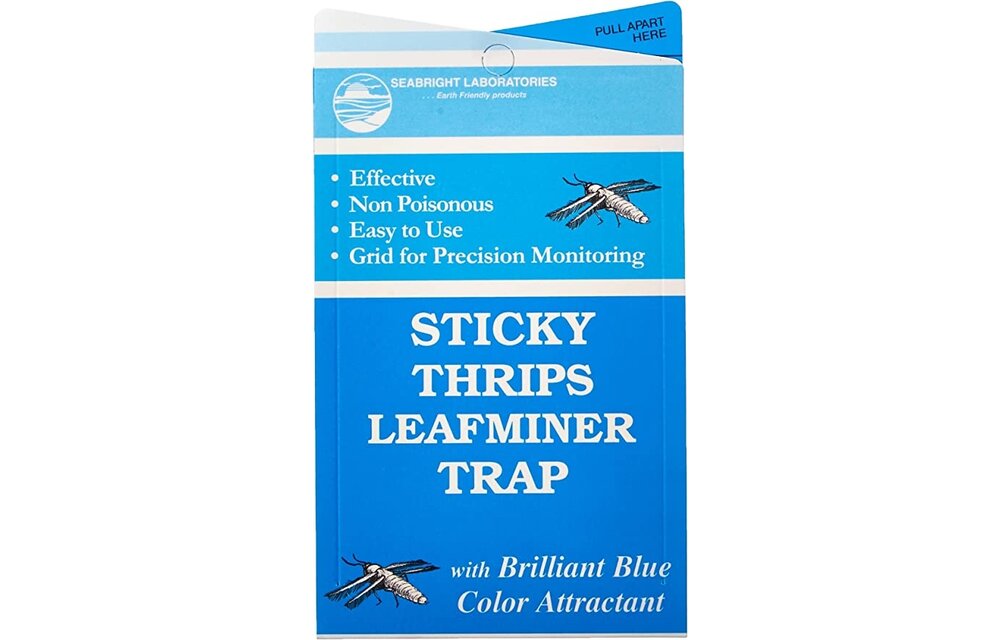 Seabright labs sticky thrips trap