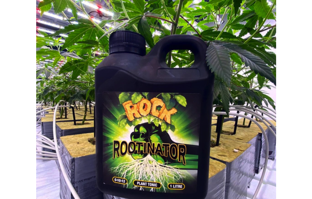 Rock rootinator 1 liter