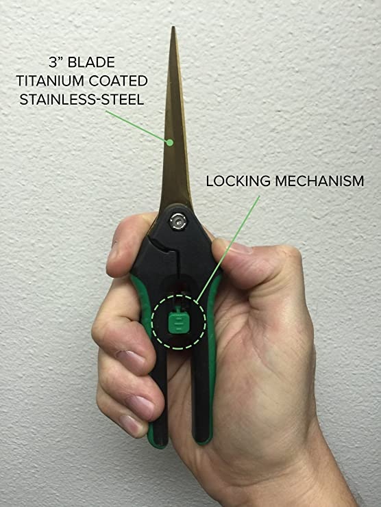 Grow 1 titanium straight blade