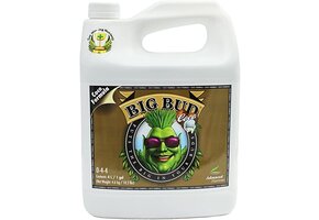 Advanced nutrients Big bud coco 1 liter