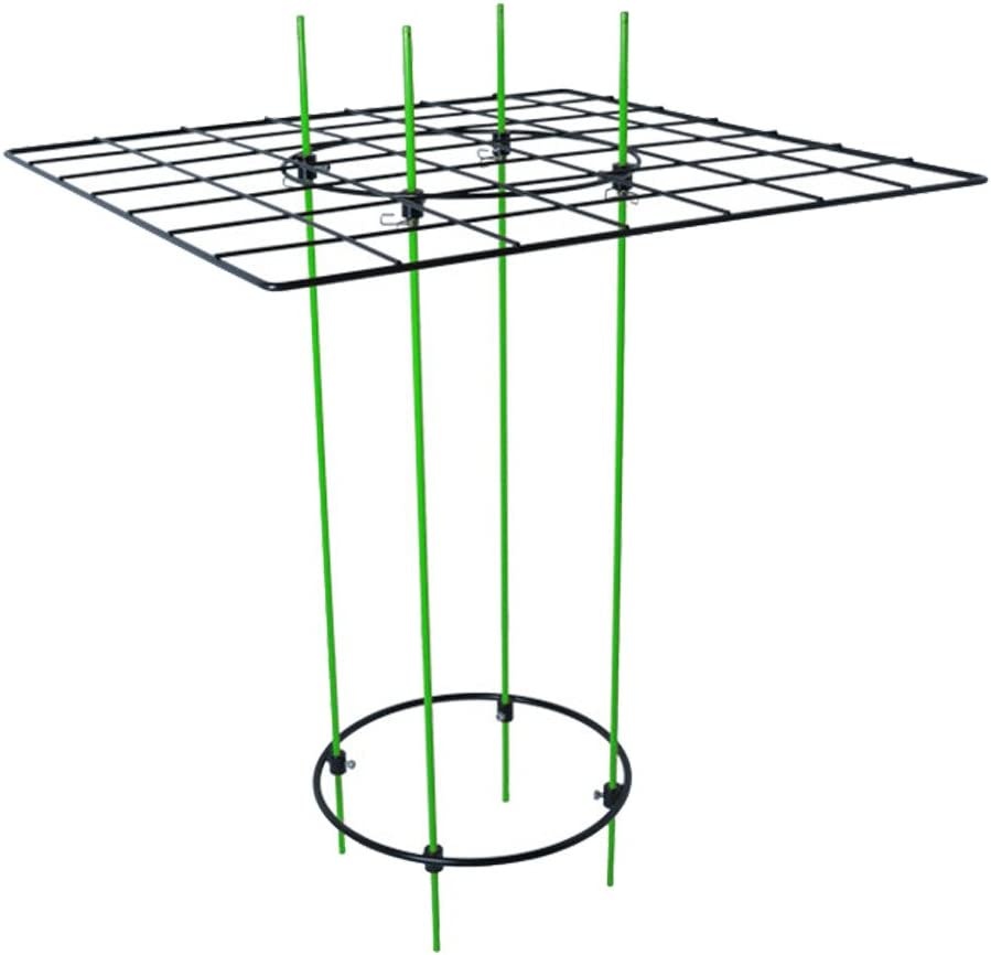 Grow 1 Scrog kit 19x25